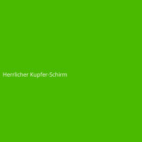 Herrlicher Kupfer-Schirm