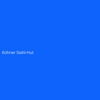 K&uuml;hner Stahl-Hut